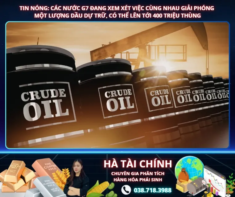 Phân tích thị trường: Tin tức về việc giải phóng dầu dự trữ của G7 và tác động lan tỏa tới dầu đậu tương